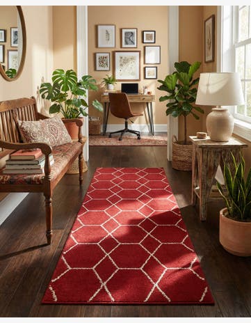 2' x 6' Trellis Frieze Runner Rug