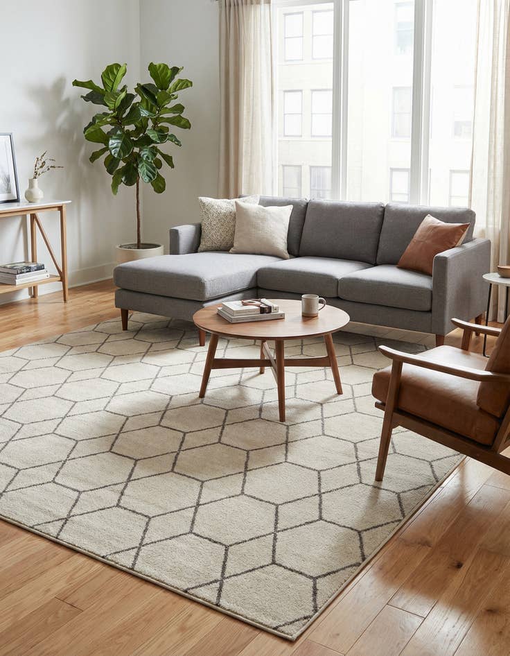 Detail image of  6' x 9' Lattice Frieze Rug