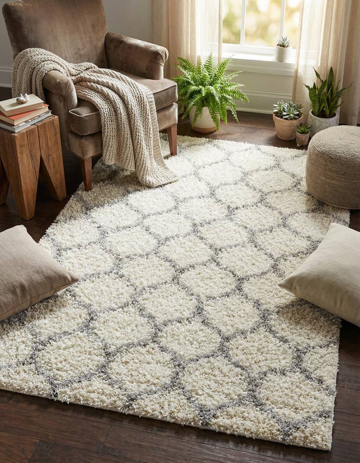 Detail image of 4' x 6' Trellis Shag Rug