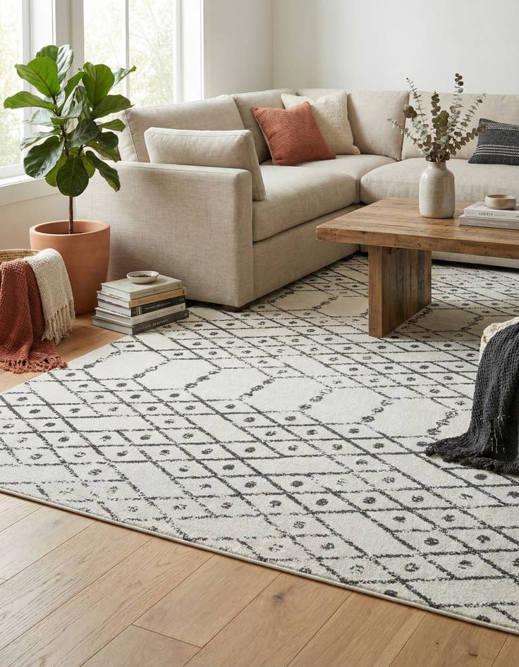 Detail image of 7' 10 x 10' Paxon Trellis Rug