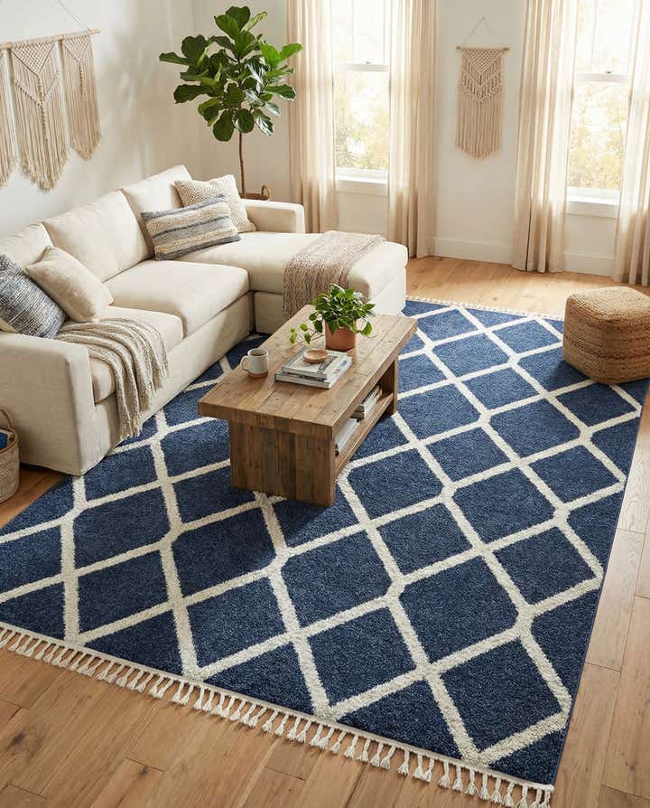 9' 6 x 14' 3 Boho Rug