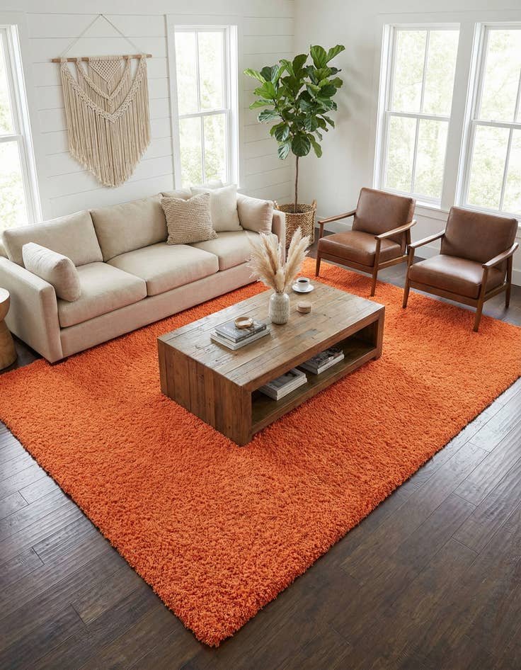 Detail image of 10' x 13' Solid Shag Rug