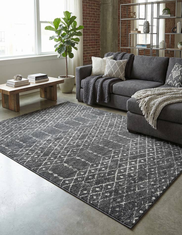 Detail image of 6' x 9' Paxon Trellis Rug