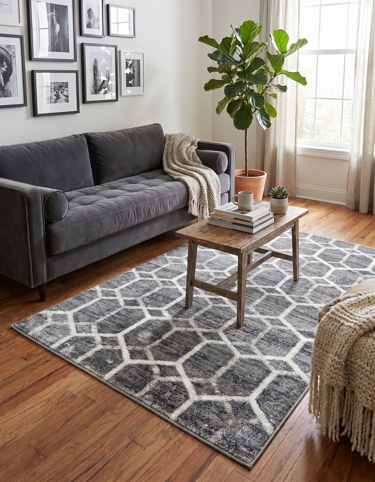 Detail image of 3' 3 x 5' 3 Lattice Trellis Rug