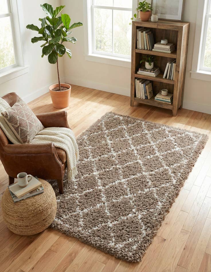 Detail image of 4' x 6' Infinity Shag Rug