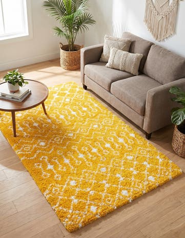 5' 3 x 8' Moroccan Trellis Shag Rug