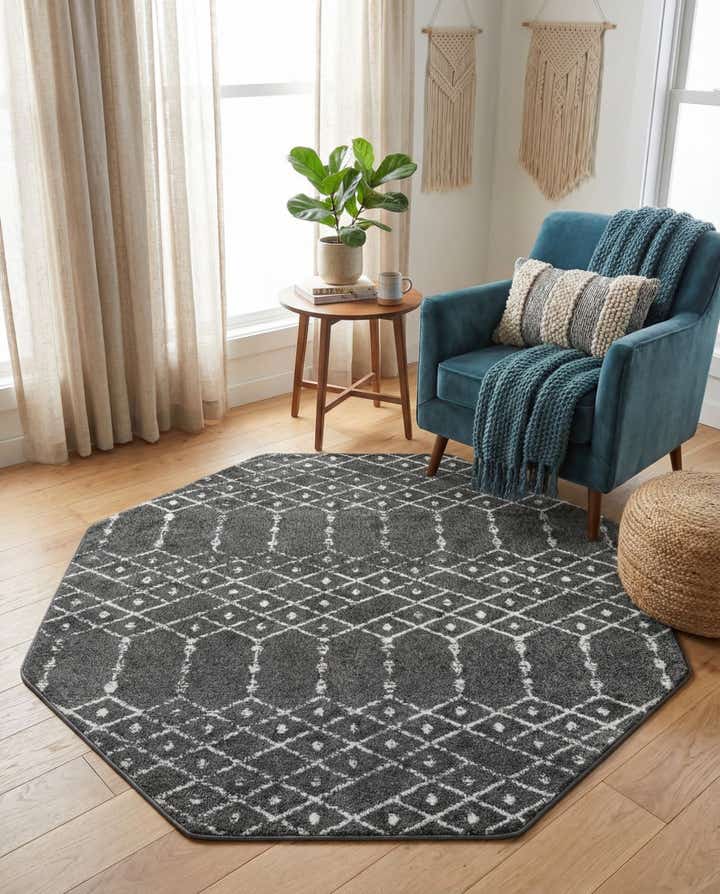 5' 3 x 5' 3 Paxon Trellis Octagon Rug