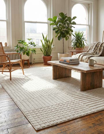 5' x 8' Textura Designer Rug