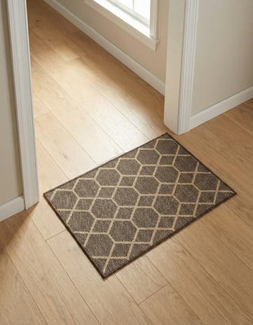 2' 4 x 3' Dunes Rug