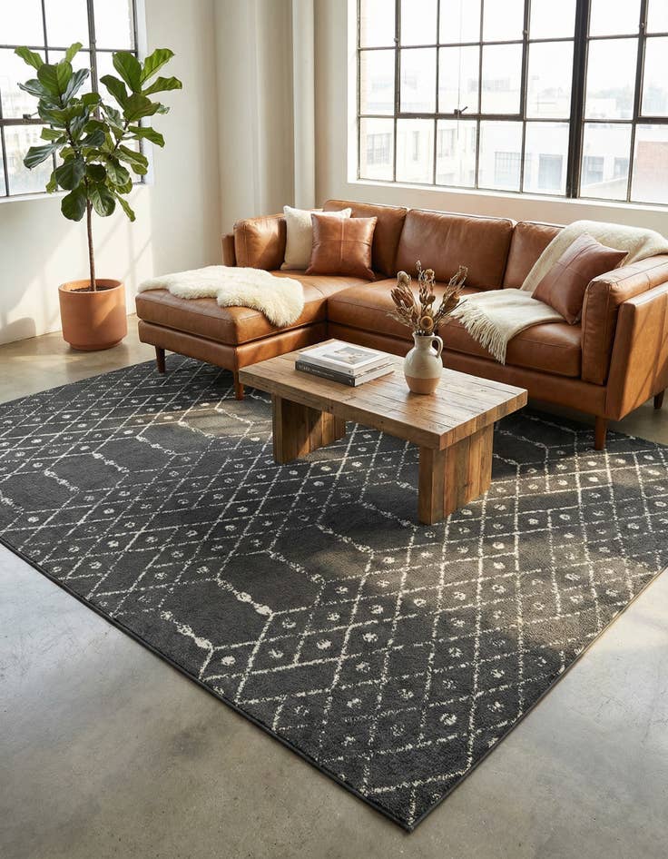 Detail image of 10' x 13' Paxon Trellis Rug
