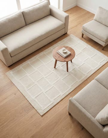 3' 11 x 5' 11 Darya Rug