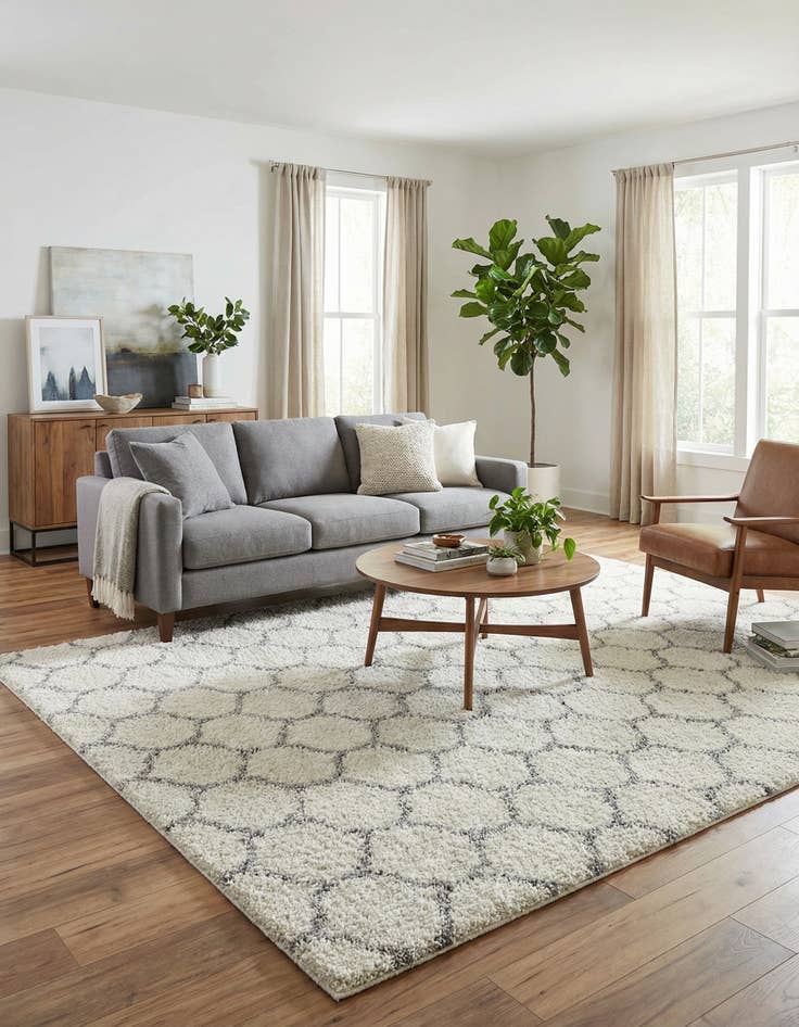 Detail image of 9' x 12' Trellis Shag Rug