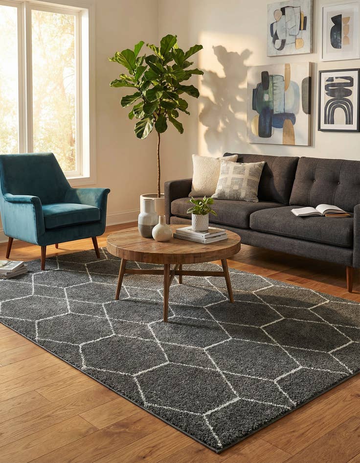 Detail image of 5' 3 x 8' Lattice Frieze Rug