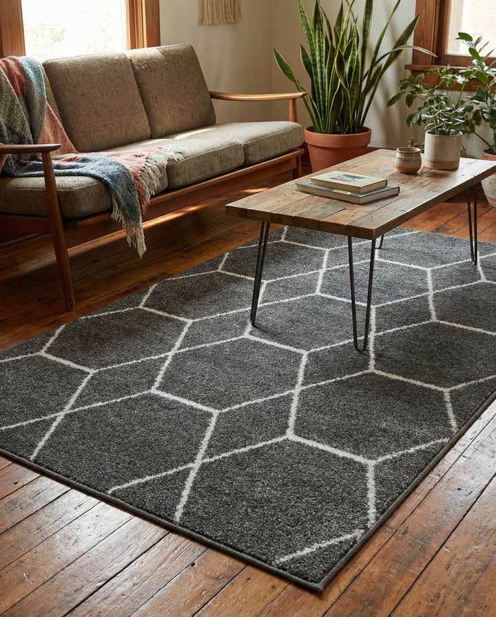 3' x 5' 3 Trellis Frieze Rug