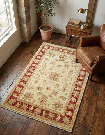 3' 3 x 4' 11 Hand Knotted Peshawar Ziegler Rug