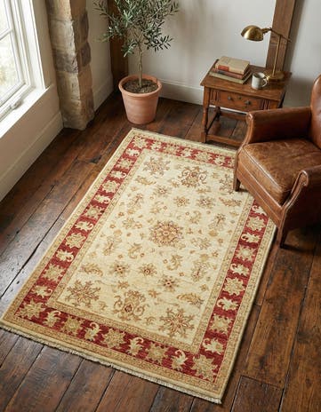 3' 3 x 4' 11 Hand Knotted Peshawar Ziegler Rug