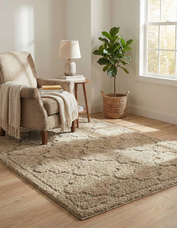 Detail image of 4' x 6' Lattice Shag Rug