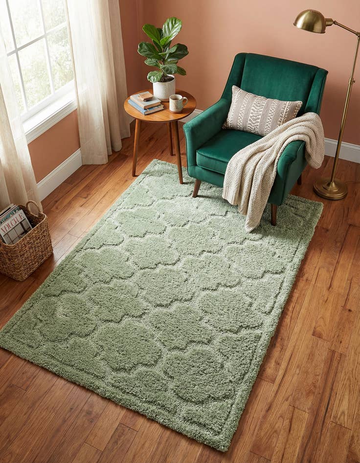 Detail image of 4' x 6' Trellis Shag Rug