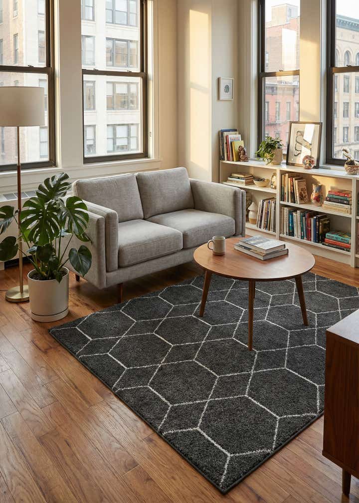 4' x 6' Trellis Frieze Rug