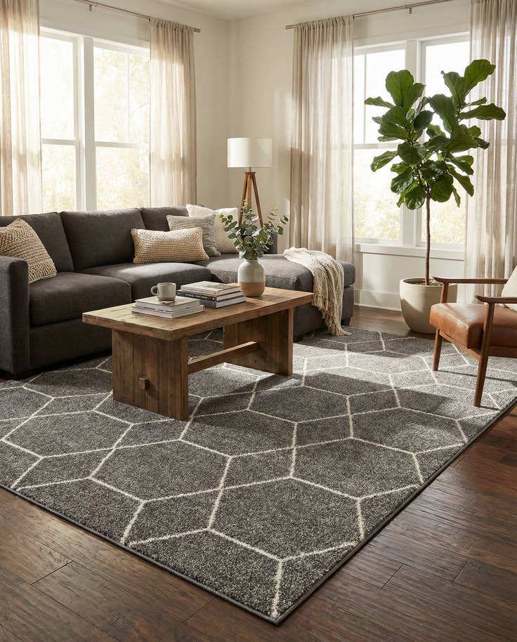 Detail image of 7' 10 x 11' Lattice Frieze Rug