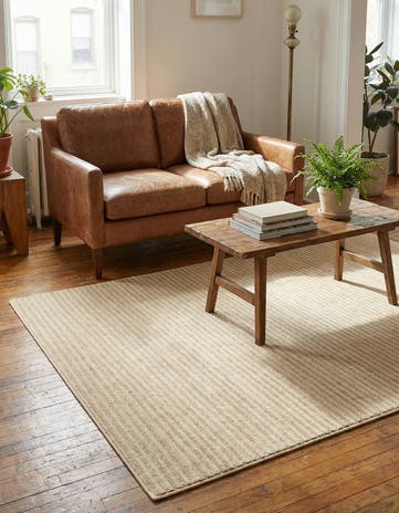 4' x 6' Contour Rug
