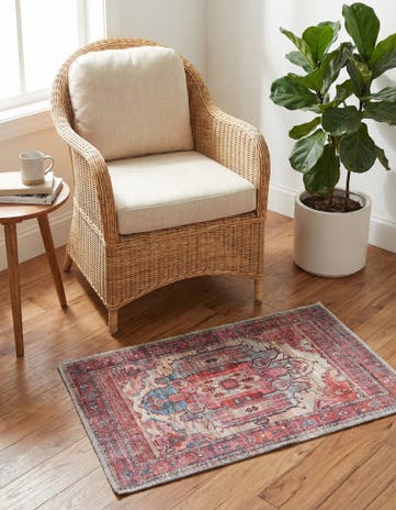 2' x 3' Washable Maahru Rug