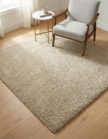 5' 3 x 5' 3 Zermatt Shag Square Rug