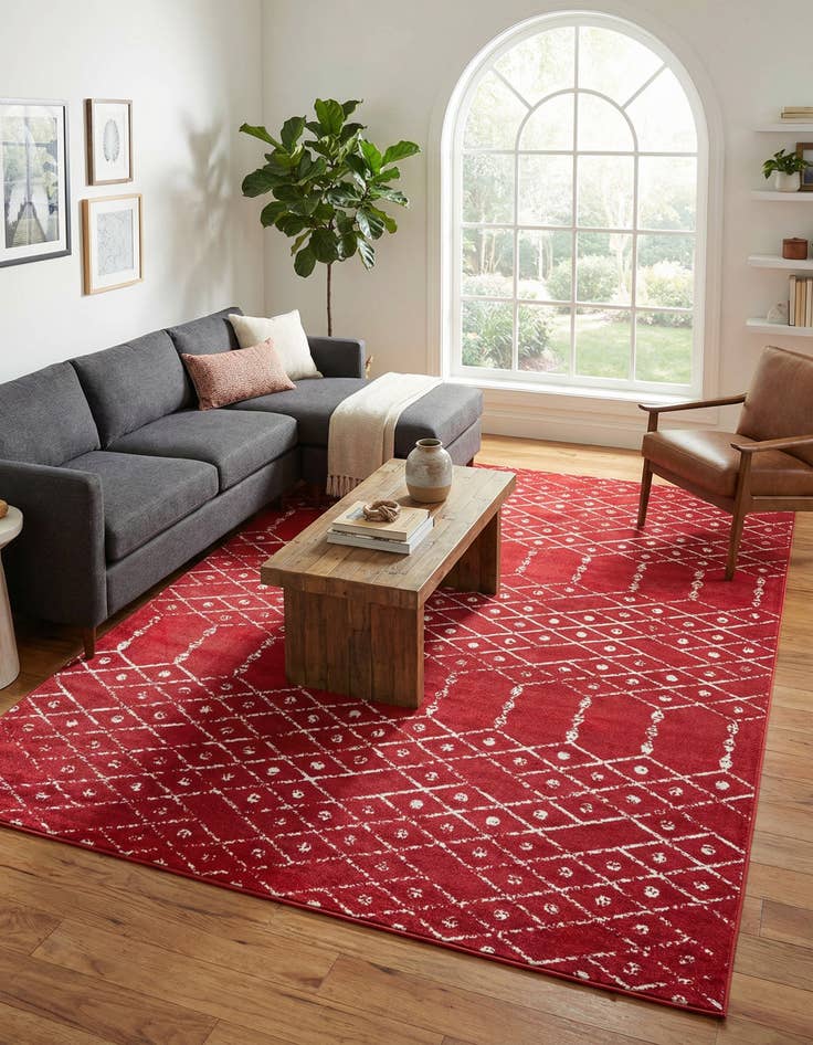 Detail image of 10' x 14' Paxon Trellis Rug