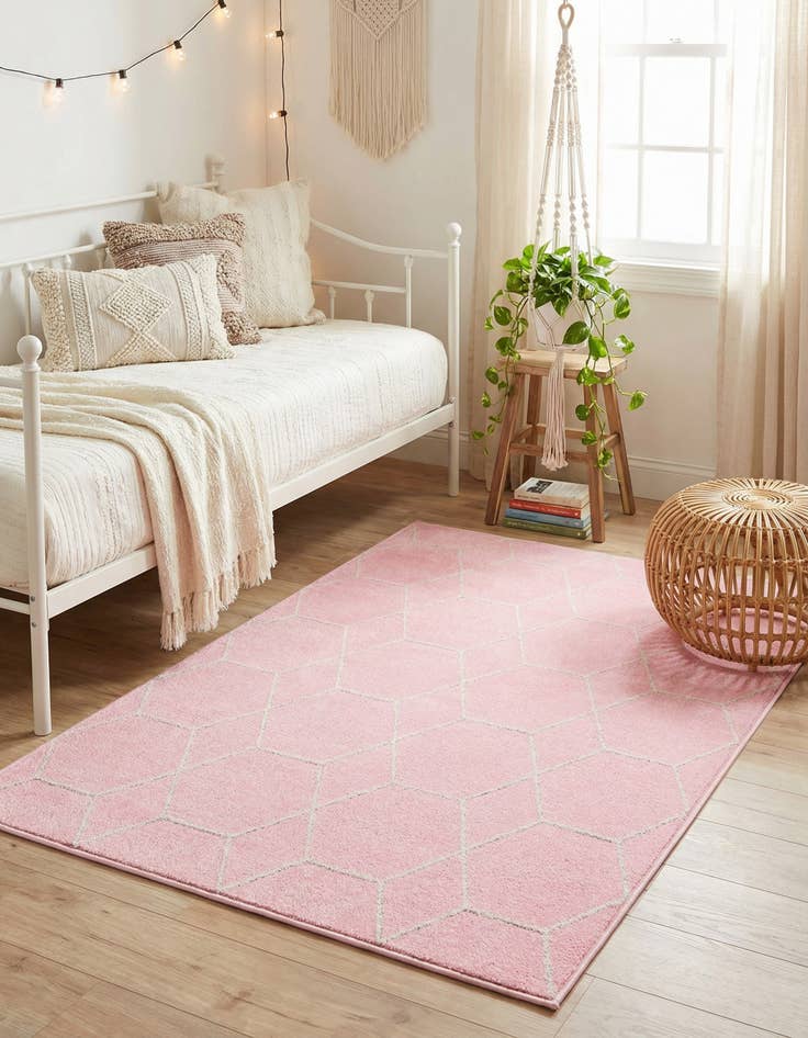 Detail image of 4' x 6' Lattice Frieze Rug