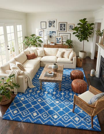 10' 8 x 14' Moroccan Trellis Shag Rug