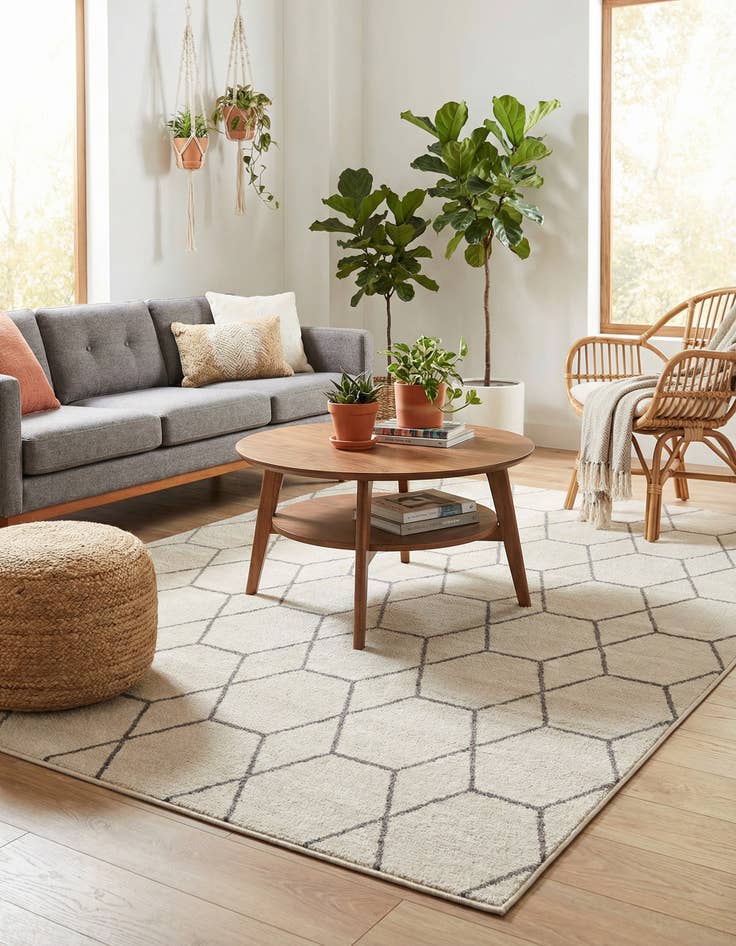 Detail image of 6' x 9' Lattice Frieze Rug