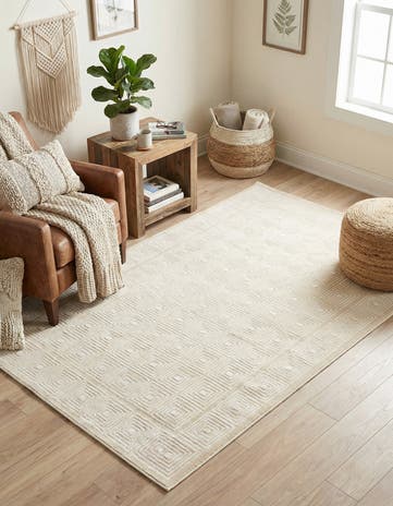 4' x 6' Aakaar Rug
