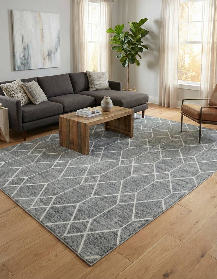 Detail image of 9' 10 x 14' Lattice Trellis Rug