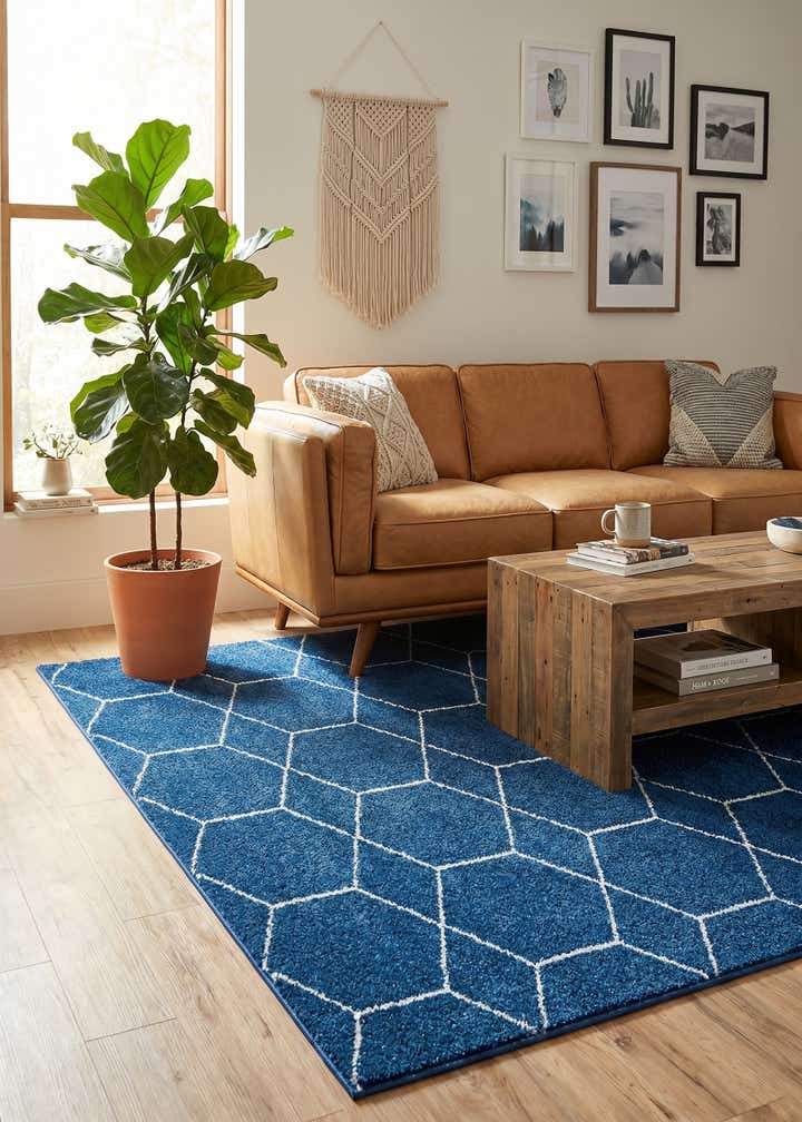 5' 3 x 8' Lattice Frieze Rug
