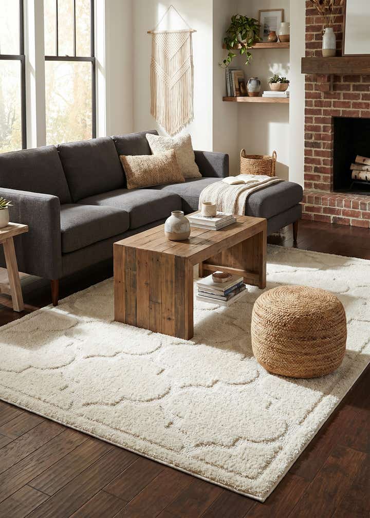 5' x 8' Trellis Shag Rug