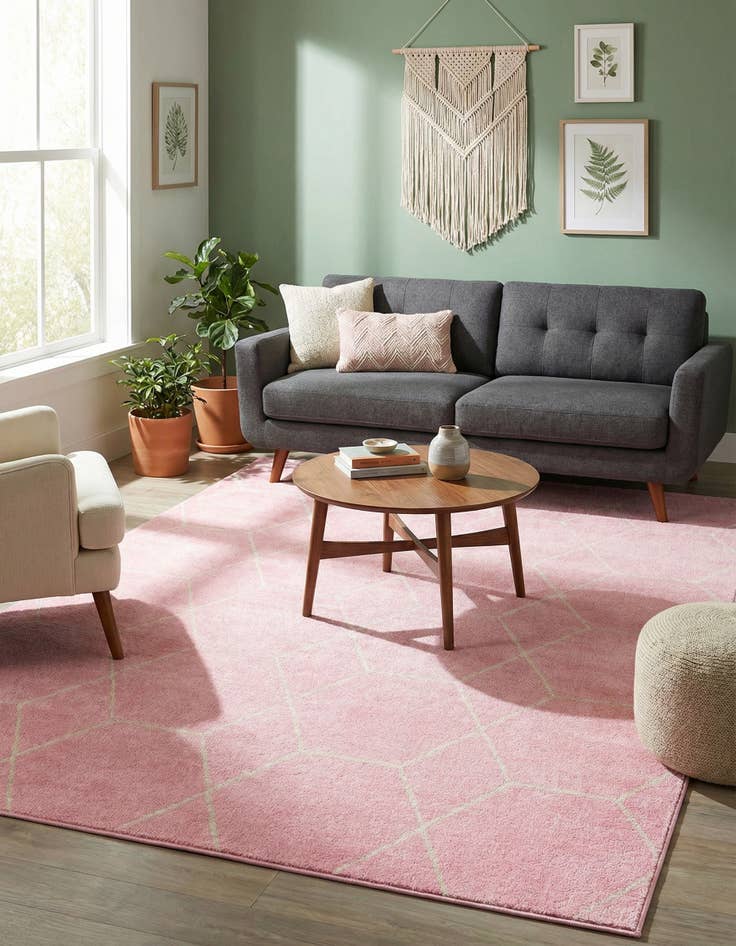 Detail image of 7' x 10' Lattice Frieze Rug