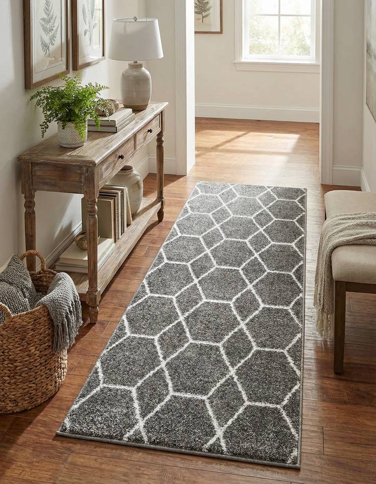 Detail image of 2' x 5' 3 Trellis Frieze Runner Rug