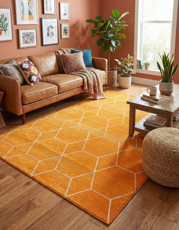 Detail image of  7' x 10' Lattice Frieze Rug