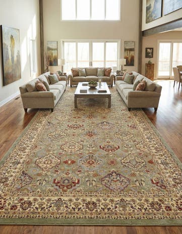 10' 6 x 16' 5 Aditi Rug