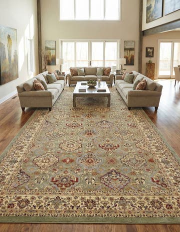 10' 6 x 16' 5 Aditi Rug