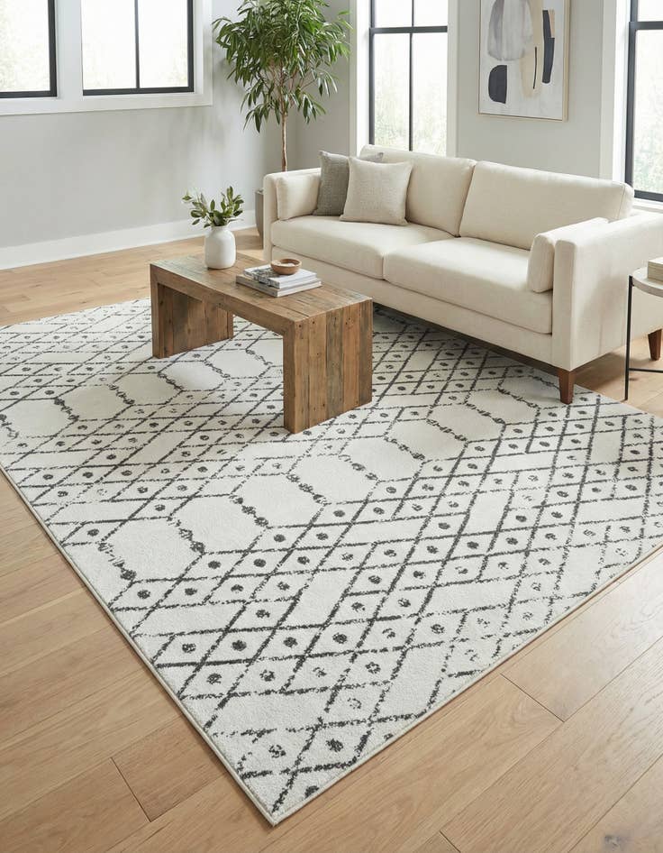 Detail image of 7' 10 x 10' Paxon Trellis Rug