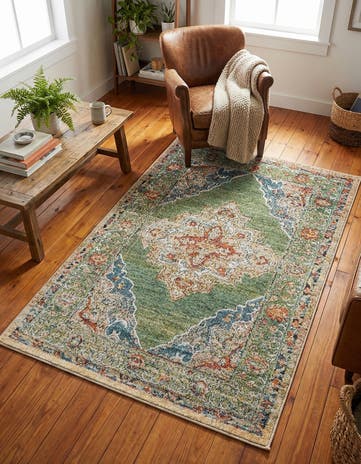 3' 3 x 5' 3 Isabella Rug