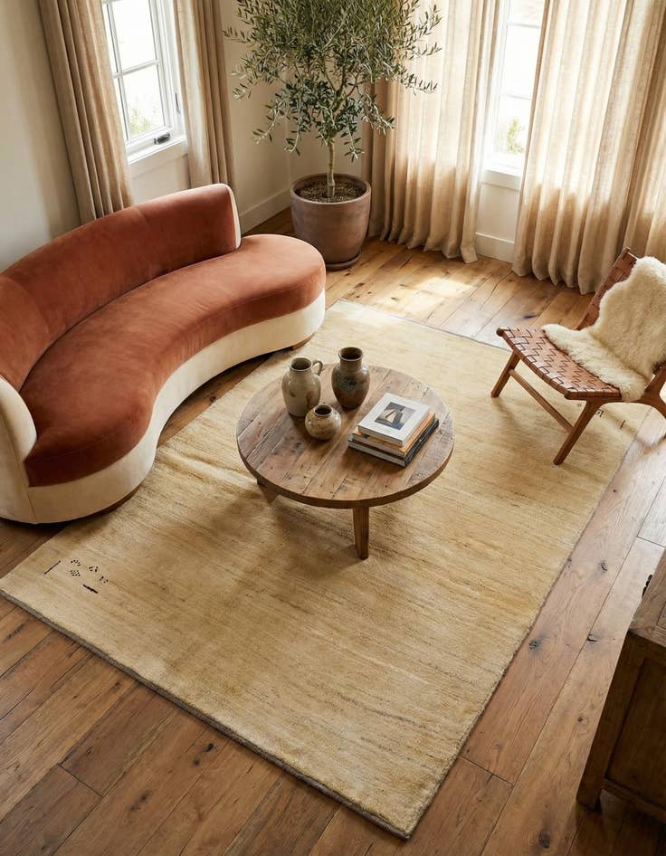 Detail image of 4' 11 x 6' 6 Hand Knotted Gabbeh Shouli Persian Wool Rug