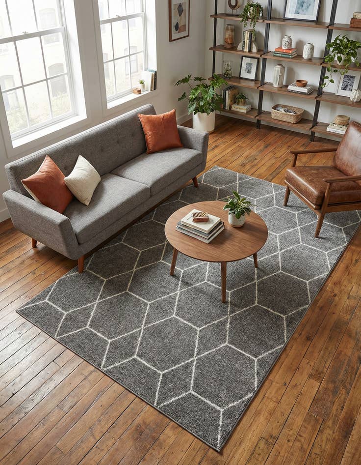 Detail image of 5' 3 x 8' Lattice Frieze Rug