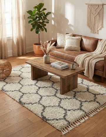 5' x 8' Athena Shag Rug