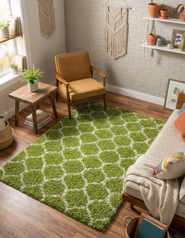 Detail image of 4' x 6' Trellis Shag Rug