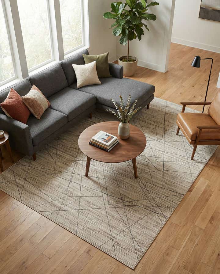 8' x 10' Silta Rug
