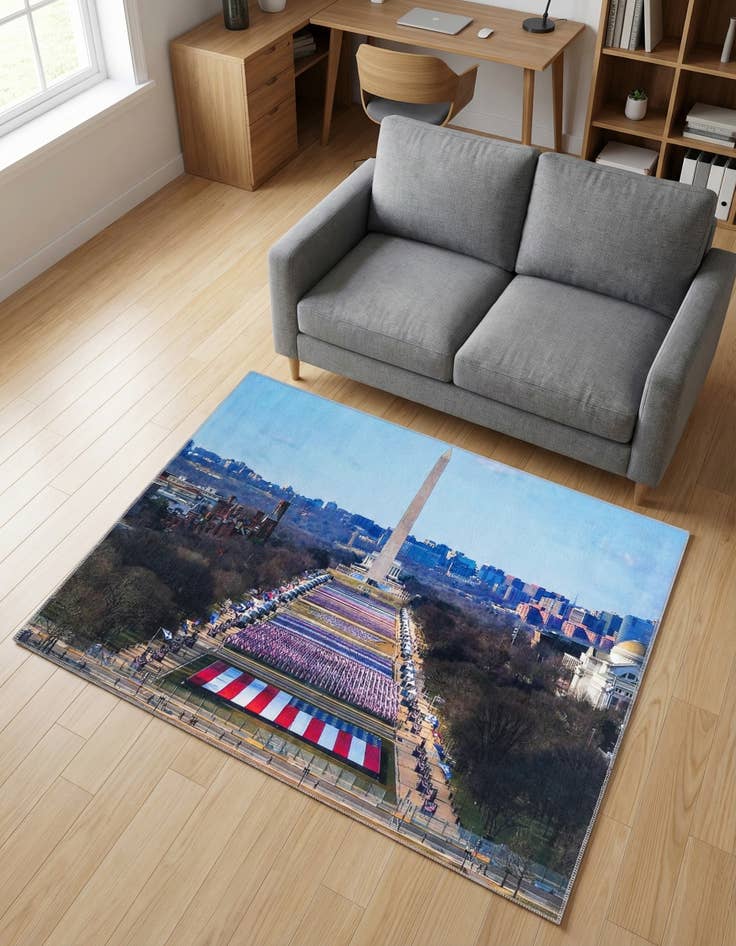 Detail image of 4' x 5' 7 Capitol Rug