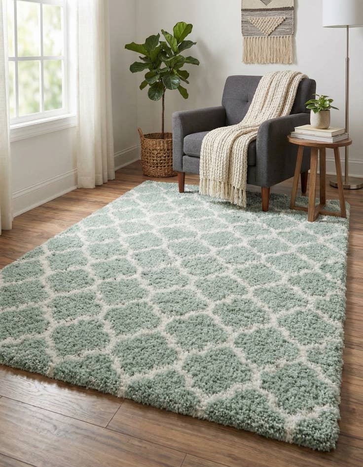 Detail image of  4' x 6' Moroccan Shag Rug