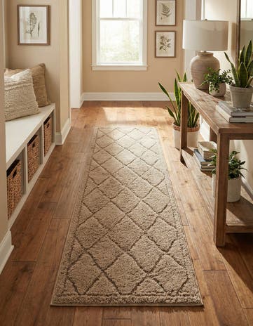 2' x 6' 9 Lattice Shag Runner Rug